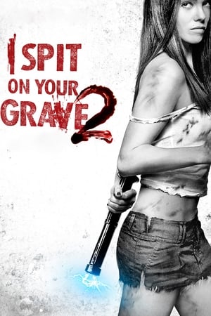 I Spit on Your Grave 2 (2013) Hindi Dual Audio HDRip 720p – 480p I Spit on Your Grave 2 (2013) Hindi Dual Audio HDRip 720p – 480p