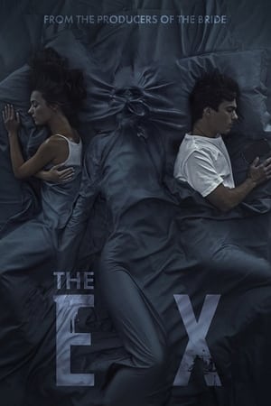 The Ex (2021) Hindi Dual Audio HDRip 720p – 480p The Ex (2021) Hindi Dual Audio HDRip 720p – 480p