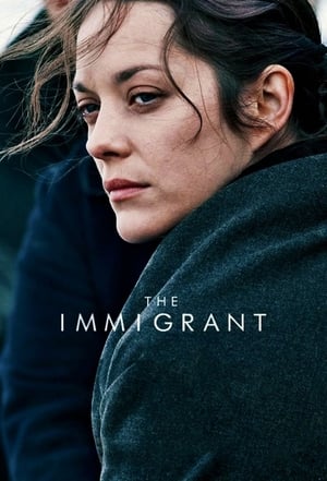 The Immigrant (2013) Hindi Dual Audio 480p BluRay 300MB The Immigrant (2013) Hindi Dual Audio 480p BluRay 300MB