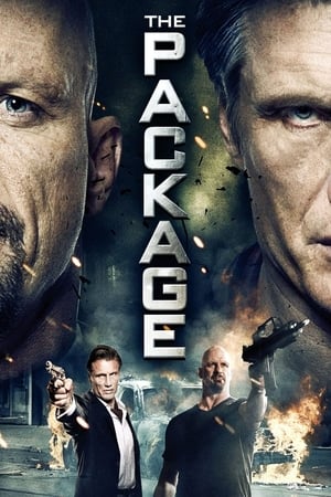 The Package (2013) Hindi Dual Audio 480p HDRip 350MB The Package (2013) Hindi Dual Audio 480p HDRip 350MB